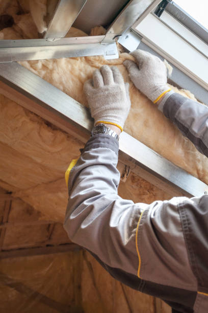 Professional Foam Insulation Services in Bovina, TX